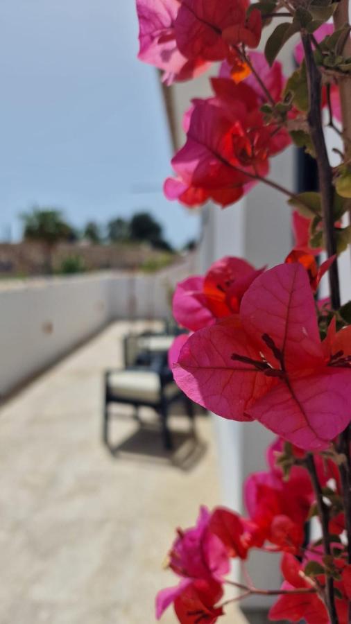 Opuntia Boutique Mijas